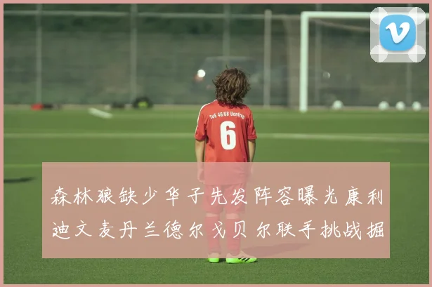 森林狼缺少华子先发阵容曝光康利迪文麦丹兰德尔戈贝尔联手挑战掘金