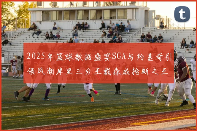 2025年篮球数据盛宴SGA与约基奇引领风潮库里三分王戴森成抢断之王